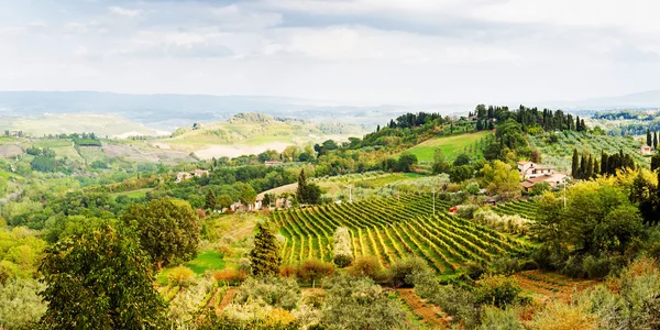 Encosta rolante em Toscana — Fotografia de Stock