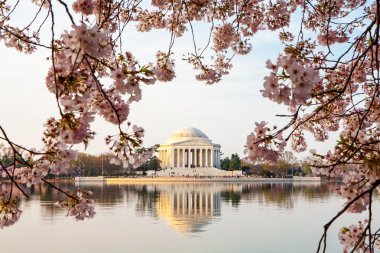 Thomas Jefferson Memorial