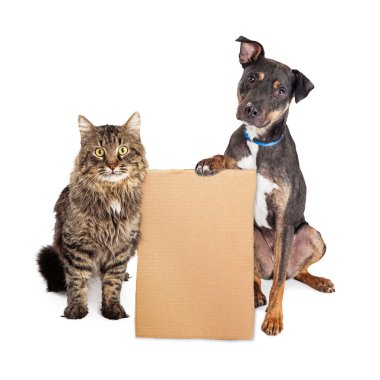 Dog and Cat With Blank Sign clipart