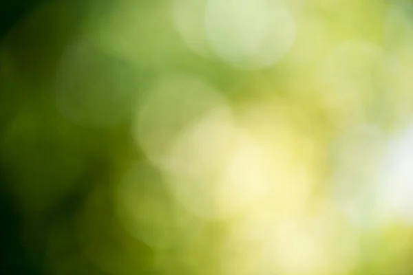 Blurred green trees — Stock Photo, Image