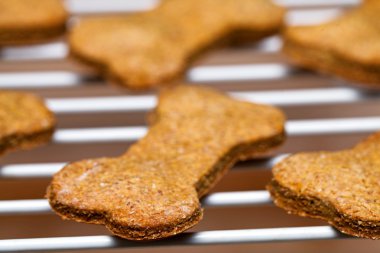 Taze köpek bisküvi soğutma raf
