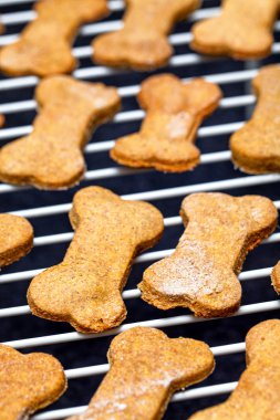 Ev yapımı fırında köpek bisküvi soğutma