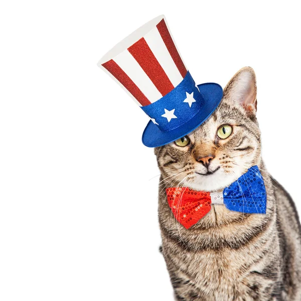 Funny American Patriotic Cat — Stock Photo, Image