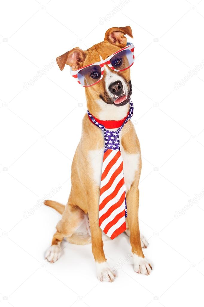dog wearing tie