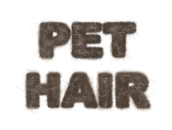 Testo Pet Capelli con pelliccia — Foto Stock