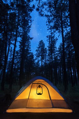 Camping tent in the forest clipart