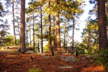  peaceful park in the woods in Payson clipart