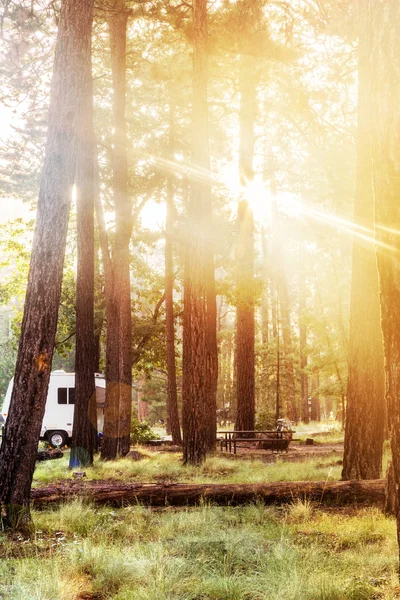 Local de acampamento em Phoenix, Arizona — Fotografia de Stock