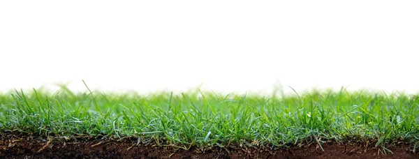Patch Fresh Green Grass Sod Planted Angle Showing Roots Dirt — Stock Photo, Image
