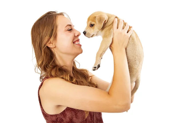 Pretty Girl Picking Up Little Puppy — Stock Photo, Image