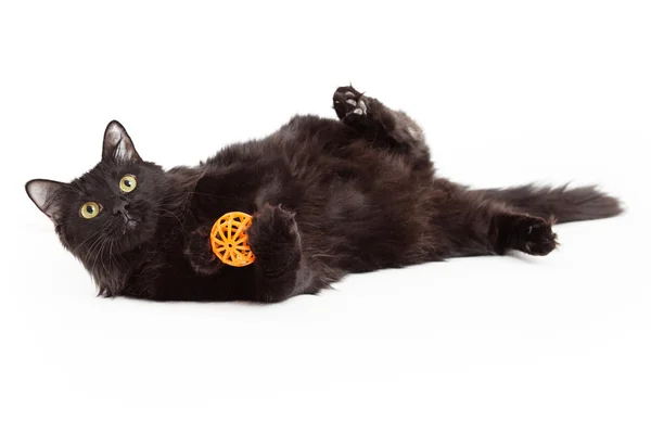 Turuncu topu ile oyun oynayan güzel siyah kedi — Stok fotoğraf