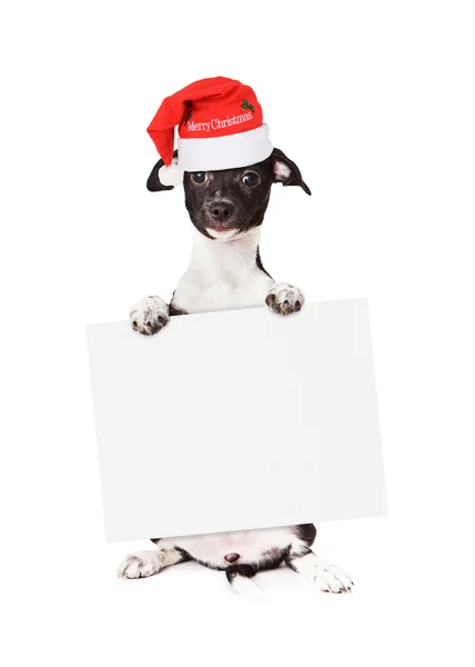 Cachorro de vacaciones con el sombrero de Santa sosteniendo el signo en blanco — Foto de Stock