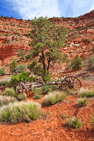 旧木的马车，在沙漠中 — 图库照片
