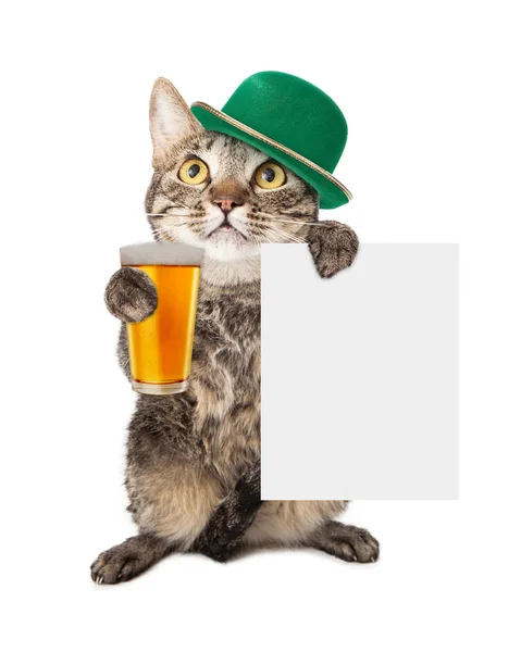 Katze mit Patrick 's Day Hut — Stockfoto