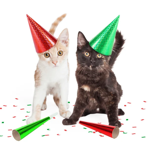 Два милых котенка в шляпах для вечеринок — стоковое фото