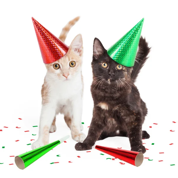 Two Cute Kittens in Party Hats — Stock Photo, Image