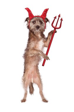 Devil Dog Pitch çatal ile