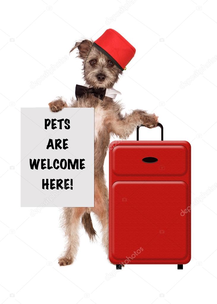 Dog Bellhop Pets Welcome Sign