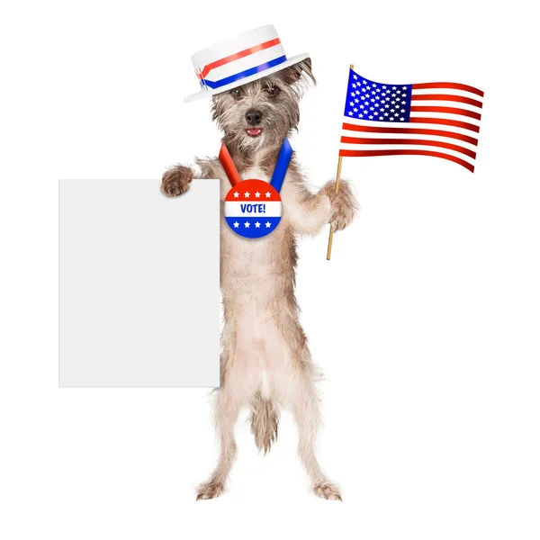 Patriottische hond met Amerikaanse vlag — Stockfoto