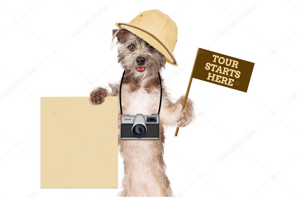 Dog Tour Guide