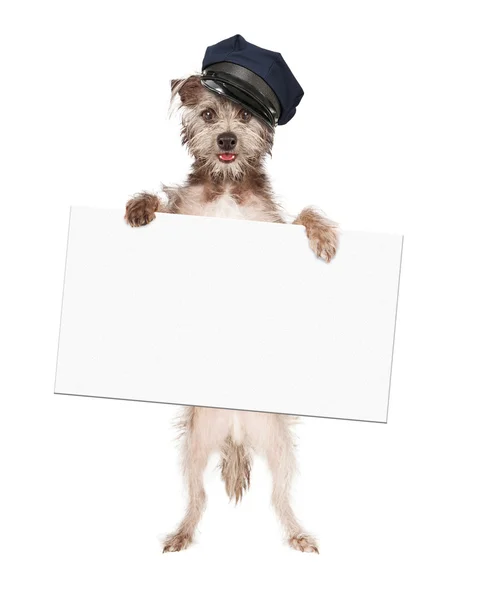 Hundechauffeur mit Schild — Stockfoto