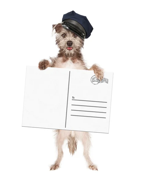 Hund Mailman leverera vykort — Stockfoto