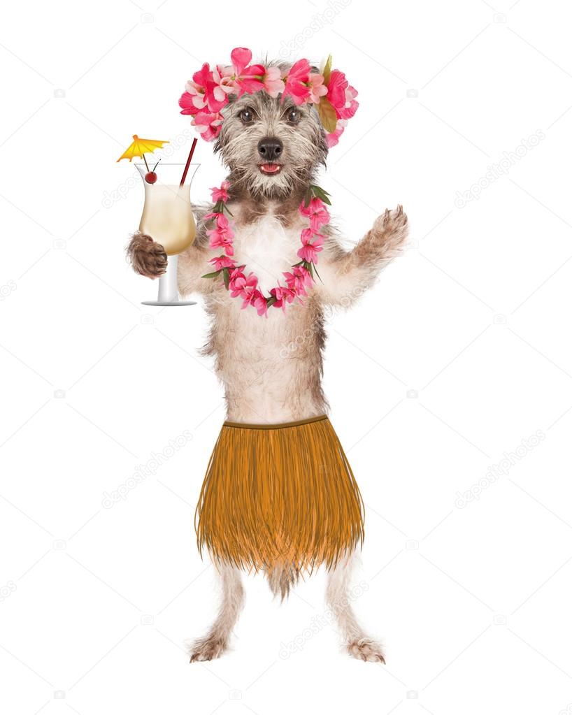 Dog Hula Dancer With Сocktail