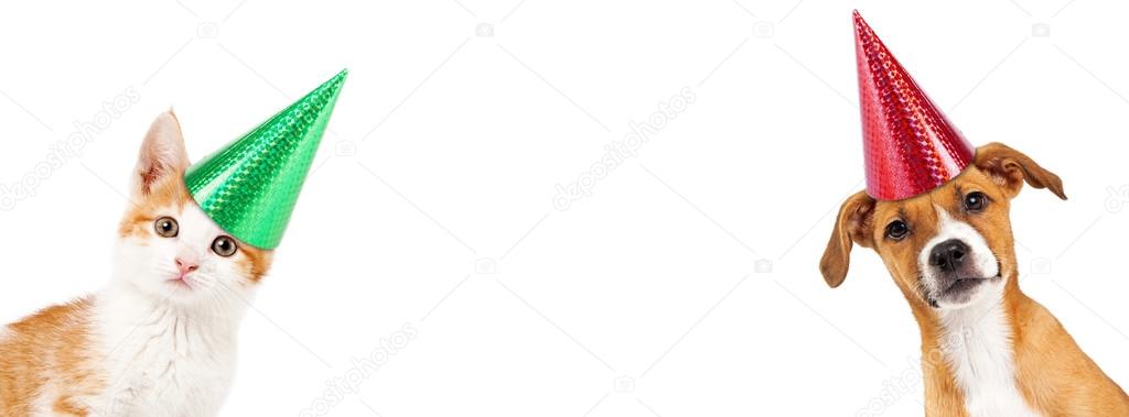 Petit Chien Joyeux Anniversaire Images Libres De Droit Photos De Petit Chien Joyeux Anniversaire Depositphotos