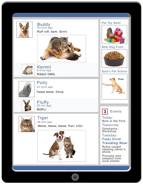 Pets Social Media Tablet — Stock Photo, Image