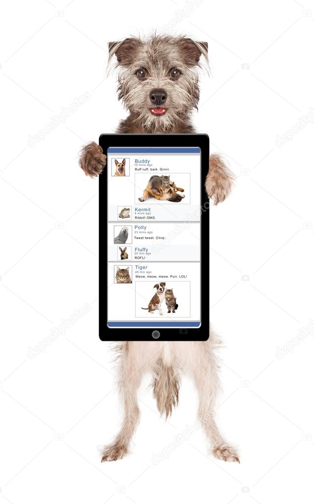 Dog Social Media Smart Phone