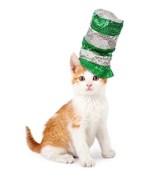 Macska visel St Patricks Hat — Stock Fotó