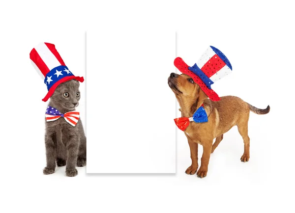 Patriotic Puppy and Kitten — Stock Photo, Image