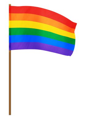 Gay Pride bayrak sallayarak