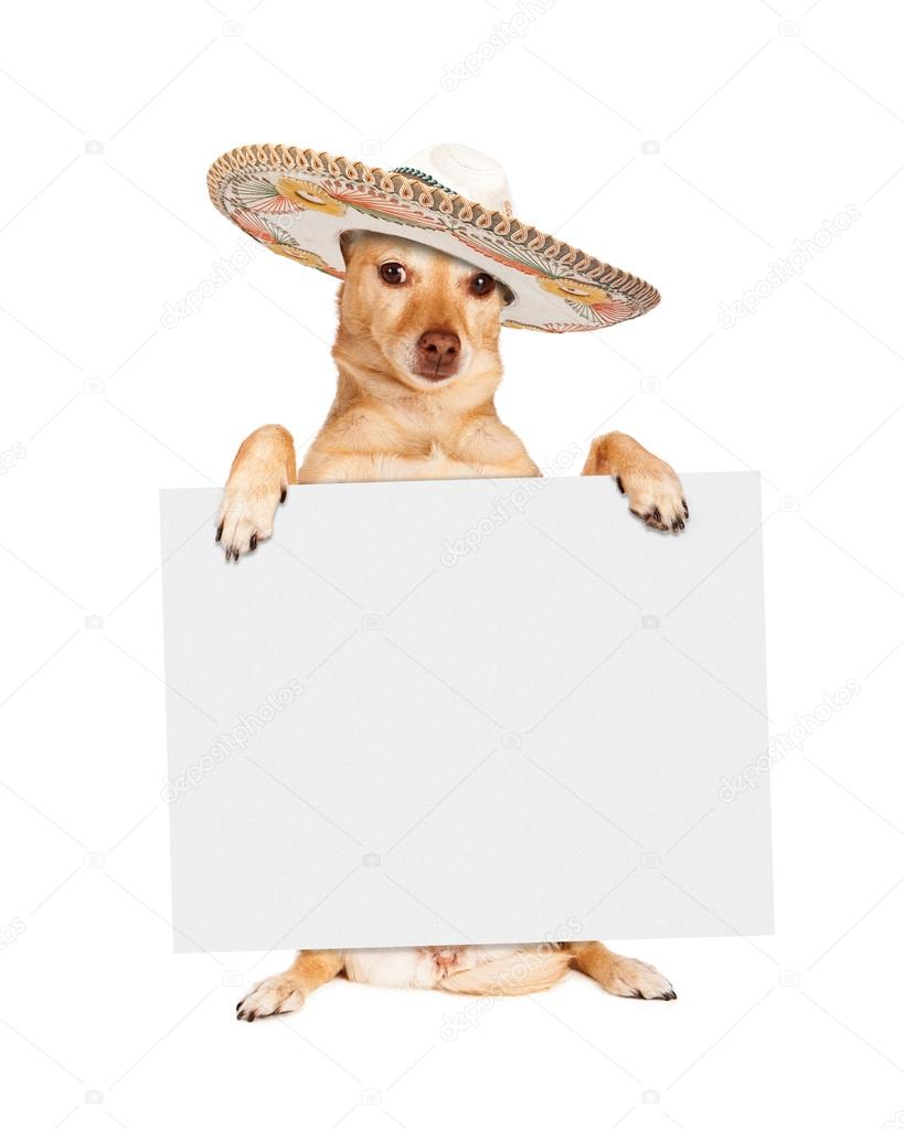 Cinco De Mayo Dog with Blank Sign