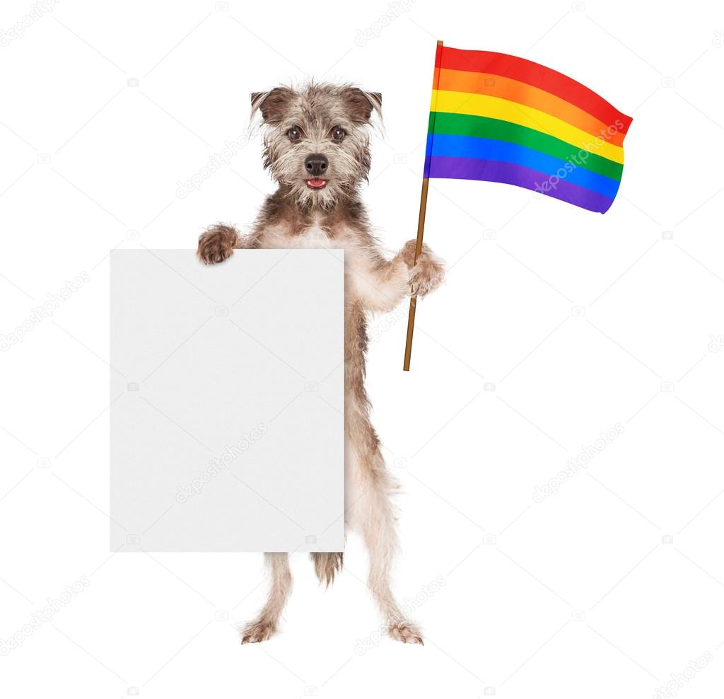 Dog Supporting Gay Rights