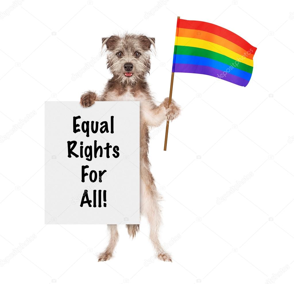 Dog Supporting Gay Rights