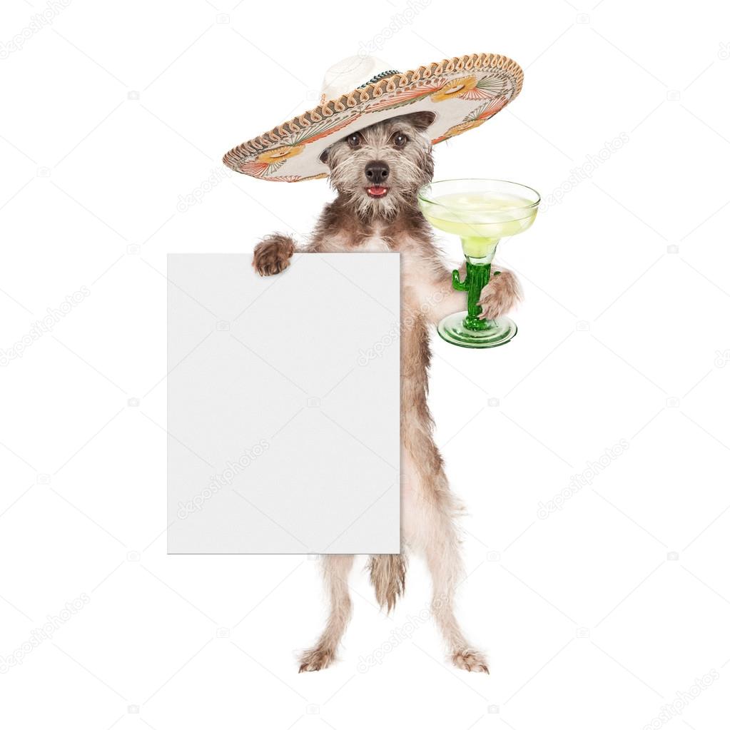Dog Wearing Sombrero Holding Sign