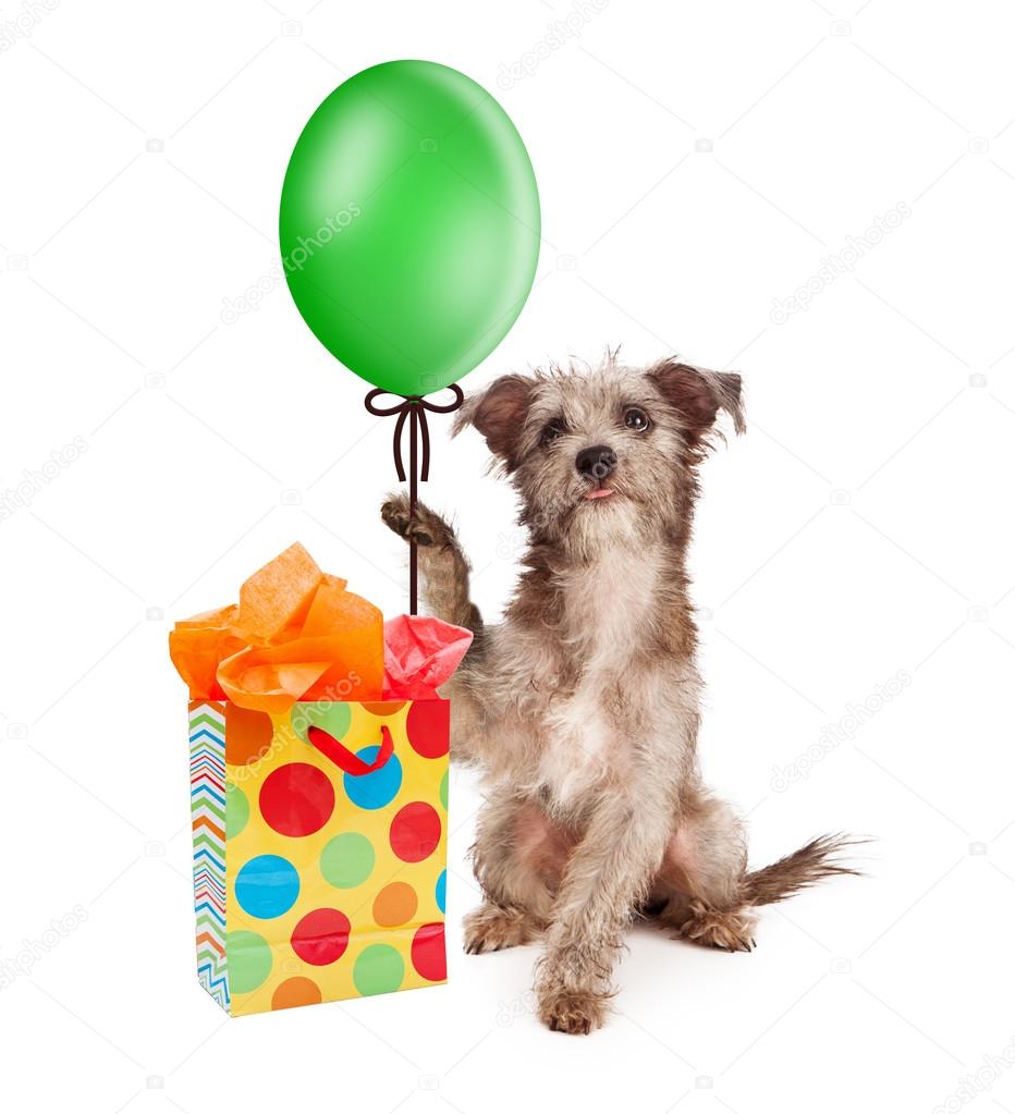 Cute puppy dog with green balloon