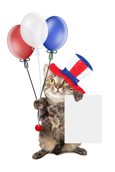 アメリカの独立記念日の猫 — ストック写真