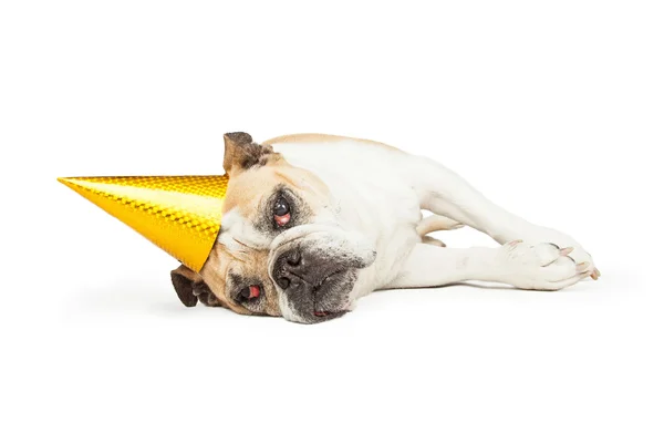 Cansado bulldog velho com chapéu de festa amarelo — Fotografia de Stock