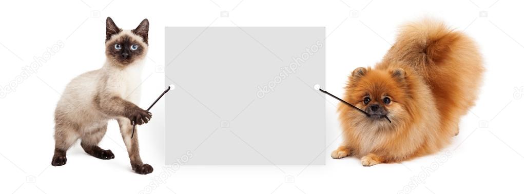Dog and Cat Holding Up Banner