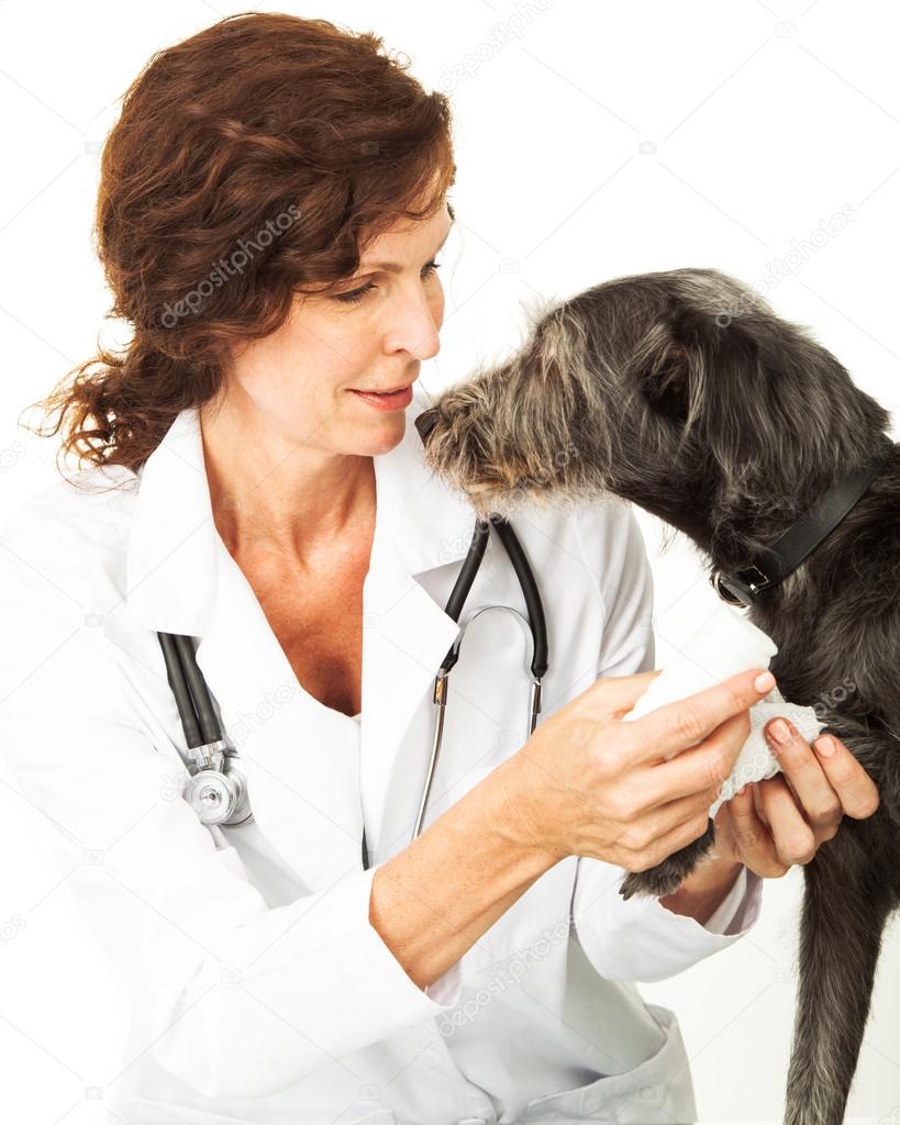 adogslifephoto
