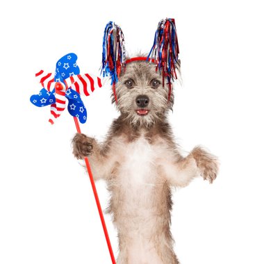 Amerikan kutlama köpek Holding fırıldak