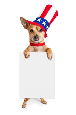 American Patriotic Chihuahua dog holding sign clipart