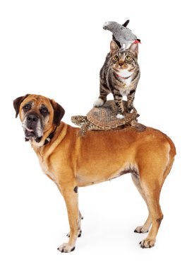 ev halkı pets birlikte yığılmış