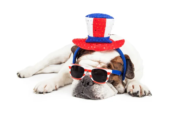 Bulldog en gafas de sol y sombrero — Foto de Stock