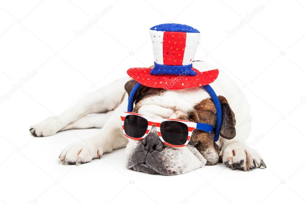 Bulldog in sunglasses and hat