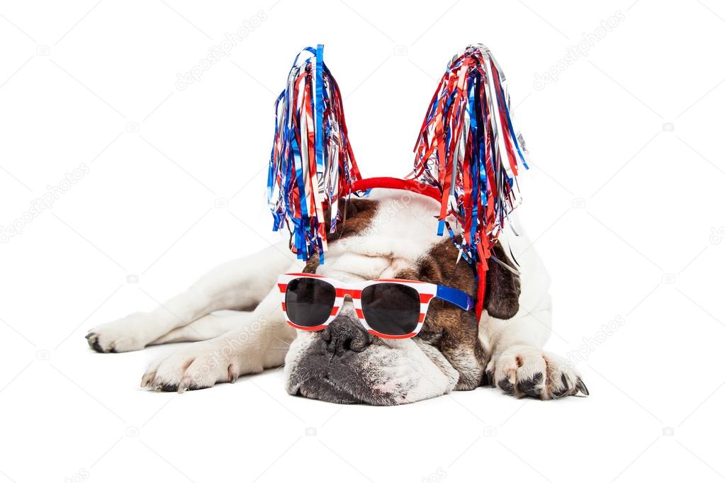 Bulldog  wearing sunglasses and pom-pom headband