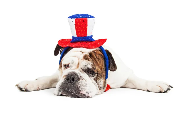 Dog wearing American celebration Hat — Zdjęcie stockowe