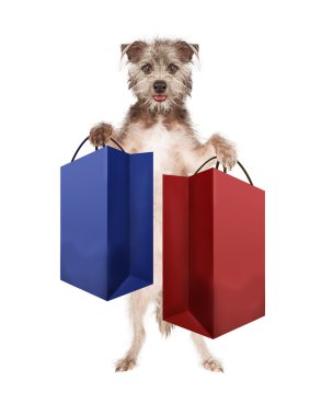 Alışveriş çantaları taşırken köpek